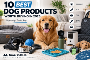 10 best dog products worth buying in 2026